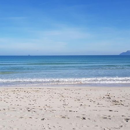Ideal Property Mallorca - Marvi Alcudia  Eksteriør billede