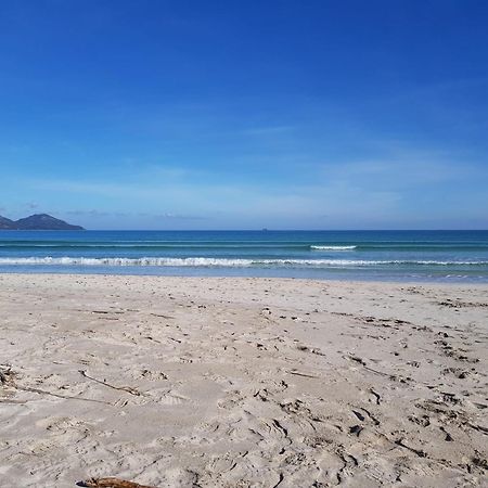 Ideal Property Mallorca - Marvi Alcudia  Eksteriør billede