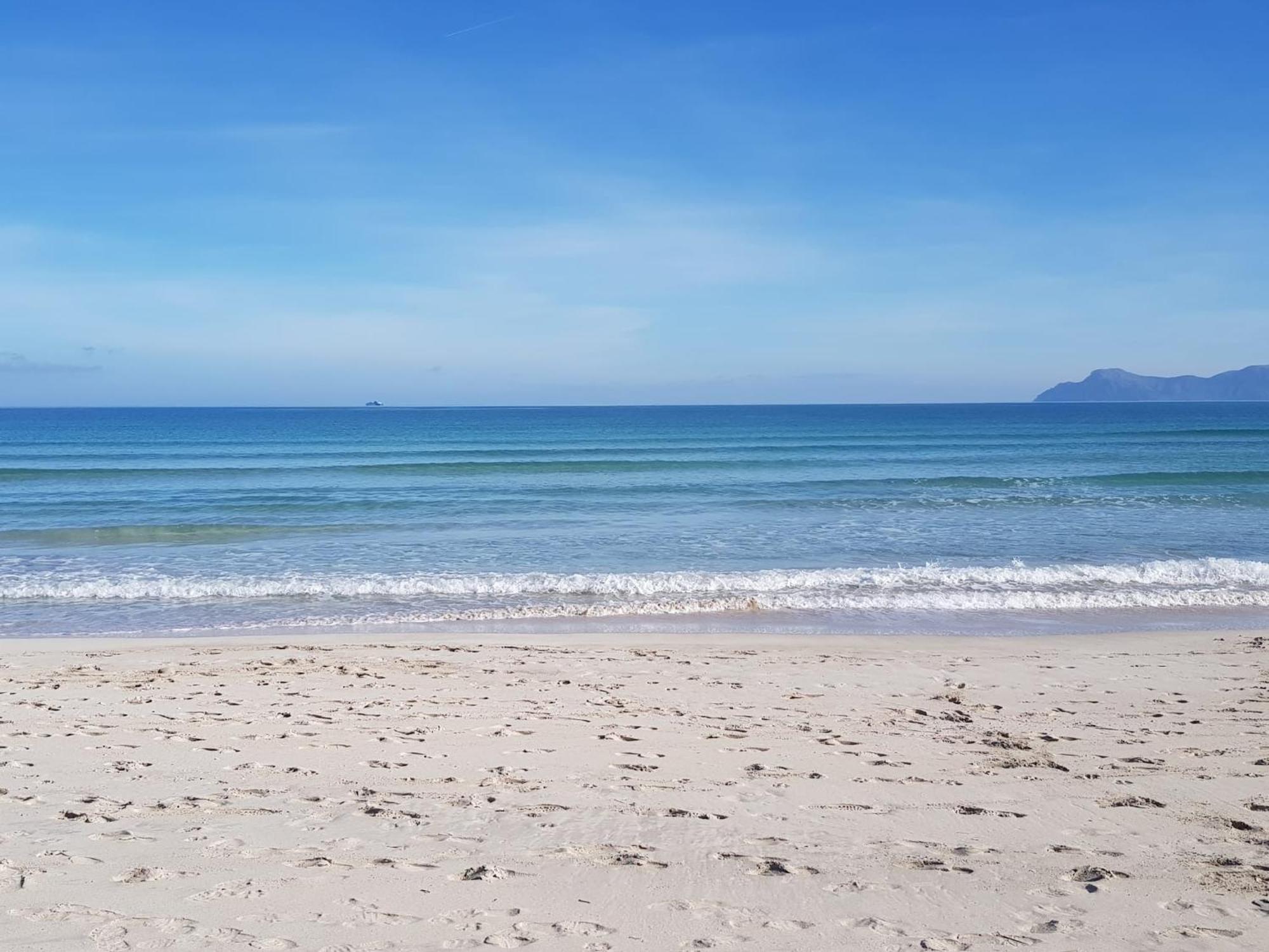 Ideal Property Mallorca - Marvi Alcudia  Eksteriør billede