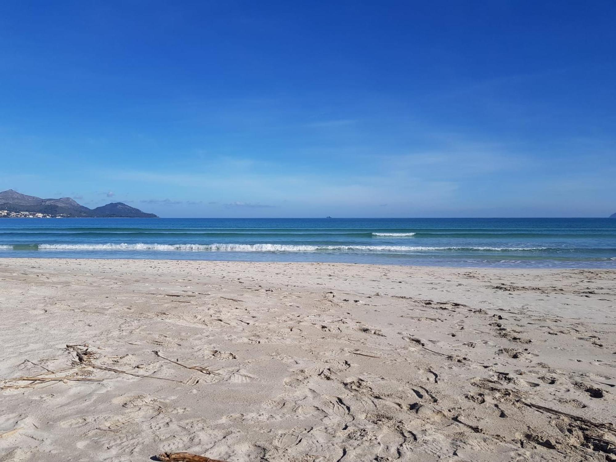 Ideal Property Mallorca - Marvi Alcudia  Eksteriør billede